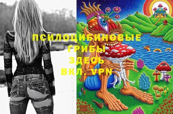 мдпв Белокуриха